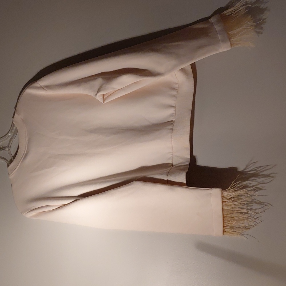 Future Collective Feather Trim Crewneck Sweatshirt - Pale Blush XXL NEW - Picture 3 of 4